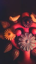 Close-up of flower over black background