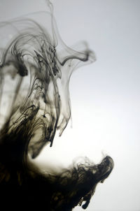 Close-up of water drop on white background