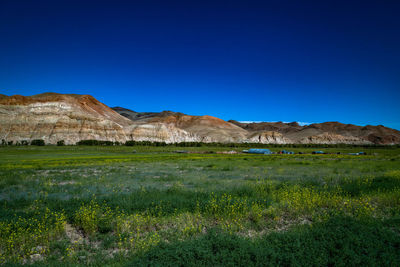 Scenic view of field against clear blue sky