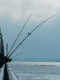 Fishing rod on sea against sky