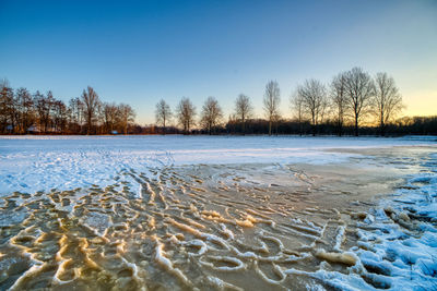 Frozen trees on snowy field against sky during sunset