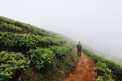 Rear view of person walking on footpath against sky