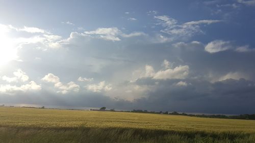 Scenic view of agricultural field against sky