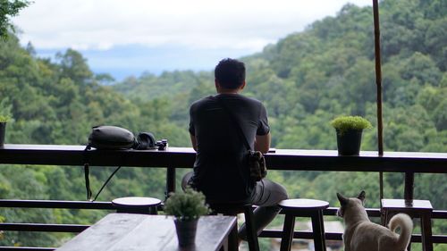 Rear view of man looking at trees while sitting in cafe