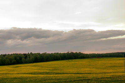 Scenic view of field against sky