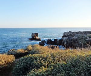 Scenic view of sea against clear sky