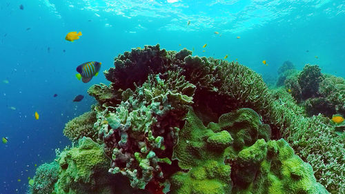 underwater