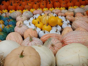 High angle view of pumpkins for sale in market