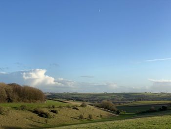 Scenic view of agricultural field against blue sky