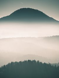 Silhouette trees in forest against sky