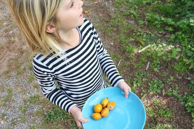 High angle view of girl holding fruits in plate on field