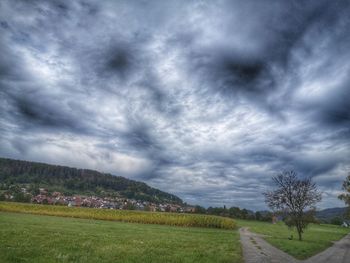 Scenic view of field against sky