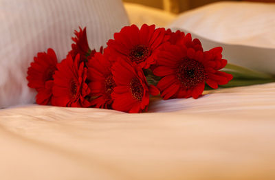 Close-up of red flowers on table