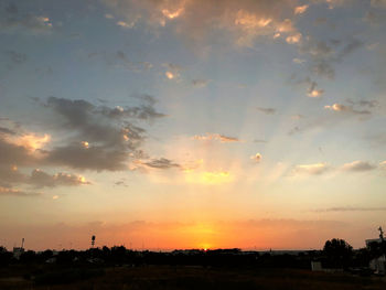 Low angle view of silhouette trees against sky during sunset