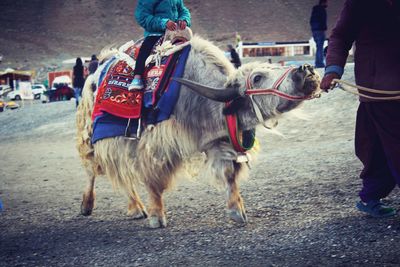 Low section of man standing outdoors