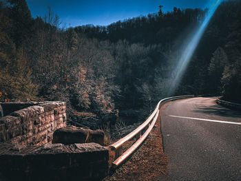 High angle view of road amidst trees