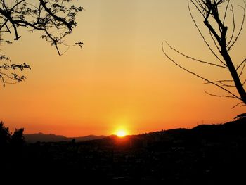 Silhouette of trees at sunset