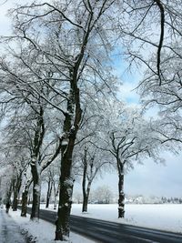 Scenic view of snow covered landscape