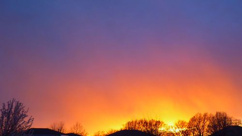 Silhouette trees against dramatic sky during sunset