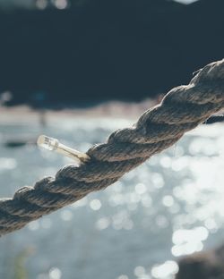 Close-up of rope on water