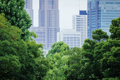 Trees and buildings in city against sky