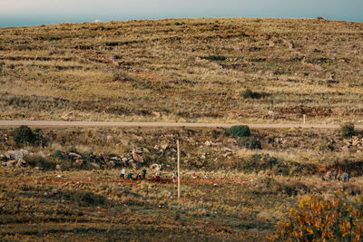 Scenic view of field against mountain