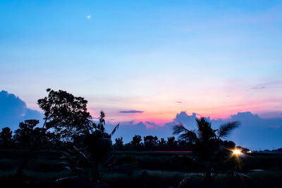 Silhouette trees on field against sky at sunset