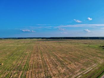 Scenic view of agricultural field against blue sky