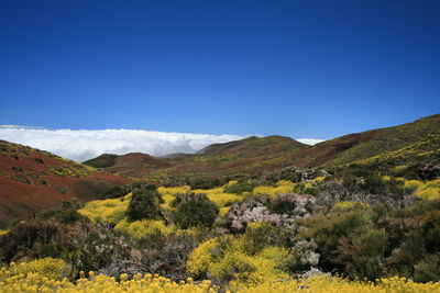 Scenic view of mountains against clear blue sky