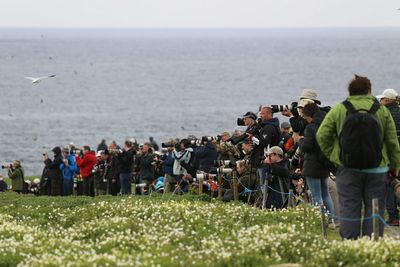 Photographers photographing against sea