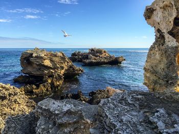 Seagull flying over rocks in sea against sky