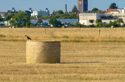 View of hay bale on field