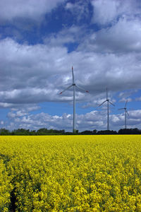 Windmills by oilseed rape field against cloudy sky