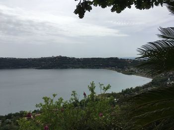 Scenic view of sea and trees against sky