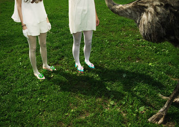 Low section of woman standing on grassland