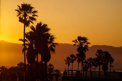 Silhouette palm trees against sky during sunset