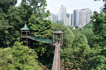 LOW ANGLE VIEW OF TREES AND CITYSCAPE