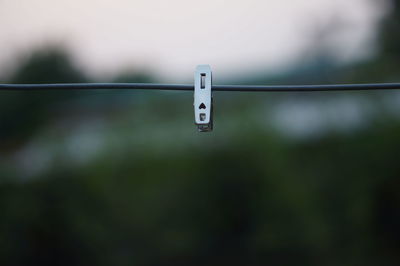 Close-up of clothespins on clothesline