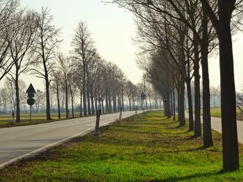 Road amidst trees against sky