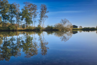 Reflection of trees in lake against blue sky