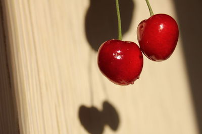 Close-up of strawberry hanging on plant