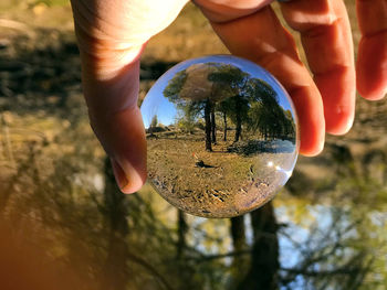 Upside down image of person holding crystal ball in forest