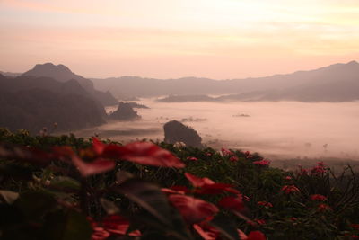 Scenic view of mountains against sky during sunset