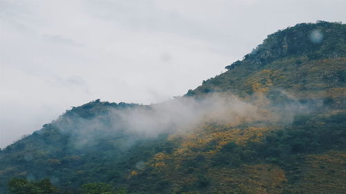 Foggy mountain with trees against sky