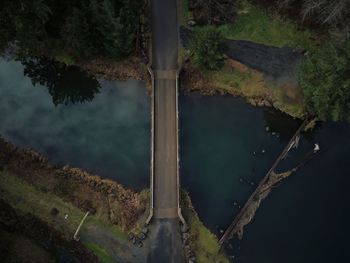 High angle view of tree by lake against sky