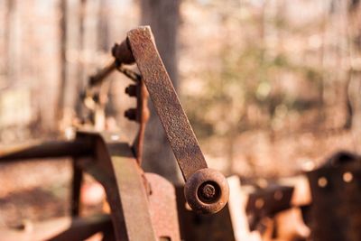 Close-up of rusty metal on wood