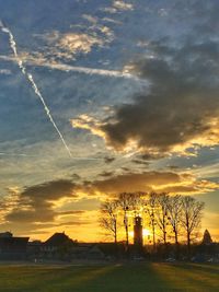 Silhouette trees on field against sky during sunset