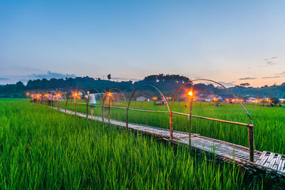 Boardwalk over farm field against sky during sunset