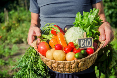 Midsection of woman holding vegetables