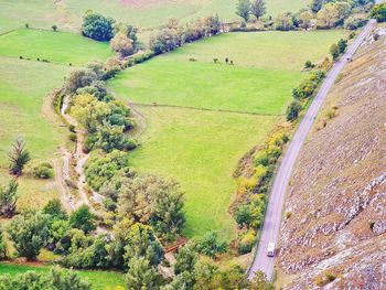 High angle view of road amidst trees on field